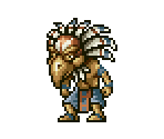 Native Bird (Expanded) - Metal Slug Customs