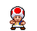 Toad - Mario Customs