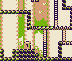 Forest - Donkey Kong