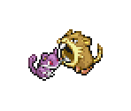 Rattata & Raticate - Pokémon Ranger 2: Shadows of Almia