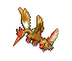 Spearow & Fearow - Pokémon Ranger 2: Shadows of Almia