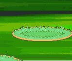 Battle Backgrounds - Pokémon Diamond / Pearl
