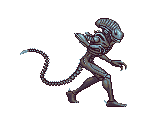 Alien - Alien vs. Predator