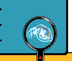 Pet Brine Buddies - WarioWare: Touched!
