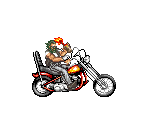 Biker - Crime Fighters