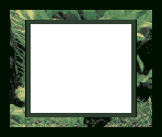 Super Game Boy Border - Aqualife (JPN)