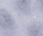 Snowbox War - Meow Playground