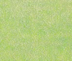 Grass Light - Meow Playground