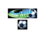 Memory Card - Sega Soccer Slam