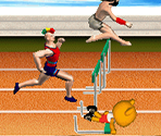 Spartan Hurdles - Cookie's Bustle