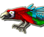 The Bird Friends - Family Party: 30 Great Games