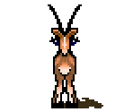 Antelope - Super 3-D Noah's Ark