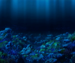 Coral Reef - Touhou LostWord