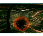 How to - Shin Megami Tensei IV: Apocalypse