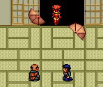 Ferrer Dojo - Princess Minerva (JPN)
