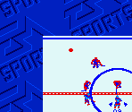 Super Game Boy Border - NHL 2000