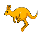 Animals Icons - We Ski & Snowboard