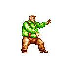 Cheng Sin Zan - Fatal Fury 2