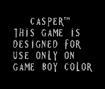 Game Boy Error Message - Casper