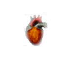 Common HUD - Postal 2