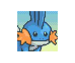 Pokémon Icons - Pokémon Mystery Dungeon: Wigglytuff's Guild Sentry Duty!