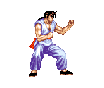 Lee - Fighter's History