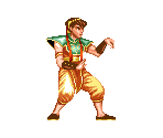 Feilin - Fighter's History