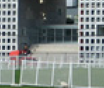 Field At Mit - Scratch