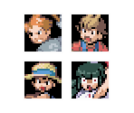 Trainer Profiles - Pokémon Garden