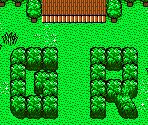 Grass Fort - Pokémon Trading Card Game 2: Here Comes Team GR! (JPN)
