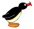 Pingu - My Friend Pingu