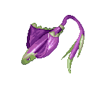 Cave Stingray - Star Ocean: Second Evolution