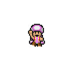 Toadette - Mario Customs