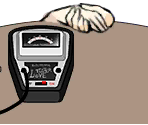 Love Tester - WarioWare Gold