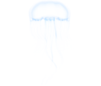 Jellyfish - KID PIX 5: The STEAM Edition