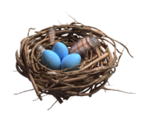 Nest with Eggs - KID PIX 5: The STEAM Edition