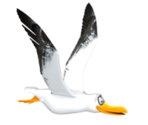 Seagull - KID PIX 5: The STEAM Edition