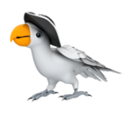 Pirate Parrot - KID PIX 5: The STEAM Edition