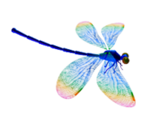 Dragonfly - KID PIX 5: The STEAM Edition