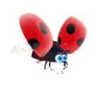 Flying Ladybug - KID PIX 5: The STEAM Edition