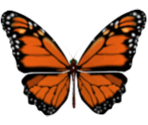 Monarch - KID PIX 5: The STEAM Edition
