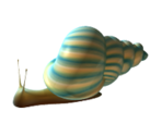Snail - KID PIX 5: The STEAM Edition