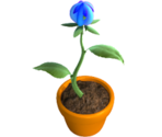 Growing Flower - KID PIX 5: The STEAM Edition
