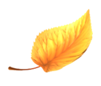 Leaf Yellow - KID PIX 5: The STEAM Edition