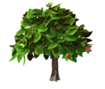 Tree Spring - KID PIX 5: The STEAM Edition