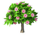 Tree Summer - KID PIX 5: The STEAM Edition
