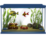 Aquarium - KID PIX 5: The STEAM Edition