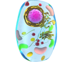 Cell - KID PIX 5: The STEAM Edition