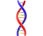 DNA - KID PIX 5: The STEAM Edition