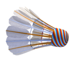 Badminton - KID PIX 5: The STEAM Edition